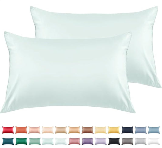 Warmstar Cotton Pillow Cases Queen Size Set of 2, 600 Thread Count Pillowcases 20x30 Inches, Soft Long Staple Cotton Pillowcases Breathable with Envelope Closure,Sky Blue