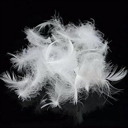 Bulk Goose Down Feather Stuffing & Fill – Hypoallergenic Pillow Filling, Repair, Restuff, Fluff for Couch Cushions, Comforters, Jackets5/95-2Lb DIY