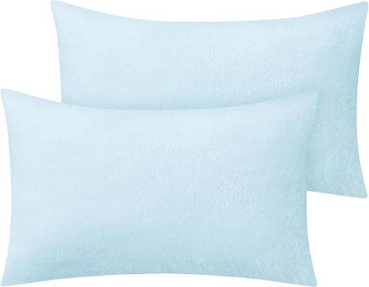 BEDELITE Flannel Pillowcases Standard Set of 2, Super Soft Fleece Pillow Case Cover with Zipper for Bedroom, Sofa, Couch,Luxury Cozy Fuzzy Velvet Pillow Shams for All Seasons(20x26 Inches, Blue)