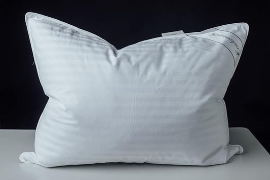 Goose Down Feather Soft Pillows One Pillow 100% Cotton Supportive Bed Pillow Stripe White Color Queen Size 20x30 inch