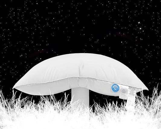 Canadian Goose Down Pillows Queen Size Set of 2,80% Goose Down and 20% Goose Feathers Goose Feathers,1650+ Fill Power White Down Pillow with 800 Thread Count Cotton Shell (White 20"x30" 2 Pack)