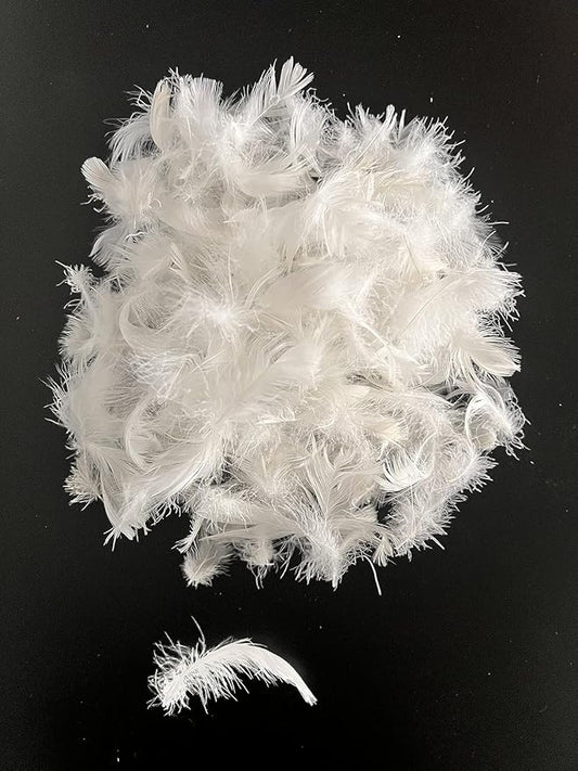 Bulk Goose Down Feather Stuffing & Fill – Hypoallergenic Pillow Filling, Repair, Restuff, Fluff for Couch Cushions, Comforters, Jackets5/95-8Lb DIY