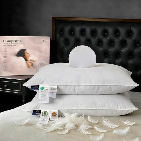 Goose Down Pillow, Hotel Quality with Feather Fill, 750 Fill Power Queen Size - 2 Pack with Pillowcase for Master Bedroom, Support for Back, Side, Stomach Sleepers (Queen Size 20" x 28")