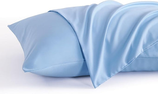 NTBAY Queen Pillow Cases Set of 2, 2 Pack Brushed Microfiber 20x30 Pillow Cases, Soft, Wrinkle, Fade, Stain Resistant Sky Blue Pillow Cases with Envelope Closure, 20x30 Inches, Sky Blue