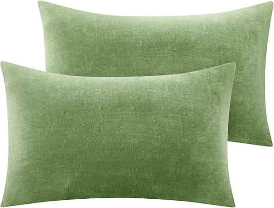 BEDELITE Flannel Pillow Cases Queen Size Set of 2, Super Soft Fleece Pillowcases with Zipper for Bedroom, Sofa, Couch,Luxury Cozy Velvet Pillow Shams for All Seasons(20x30 Inches,Sage Green)