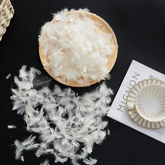 Bulk Goose Down Feather Stuffing & Fill – Hypoallergenic Pillow Filling, Repair, Restuff, Fluff for Couch Cushions, Comforters, Jackets10/90-4Lb DIY